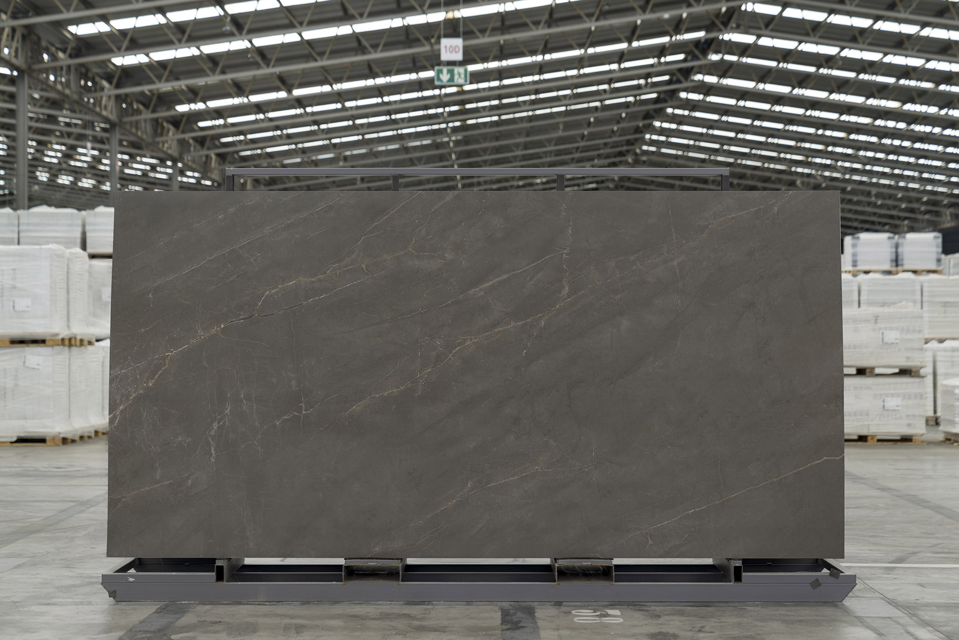 CROTONE PULPIS - Görsel 2